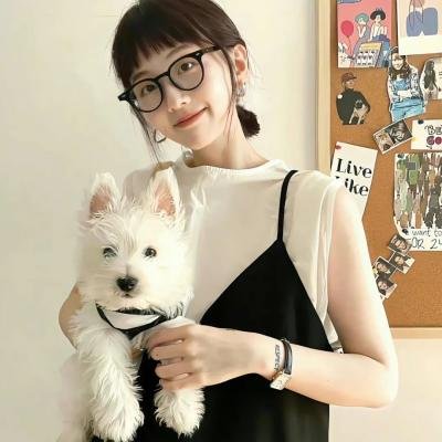 我死在去年夏天