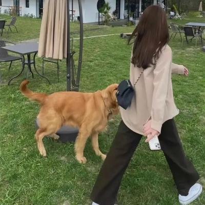 台北女子图鉴